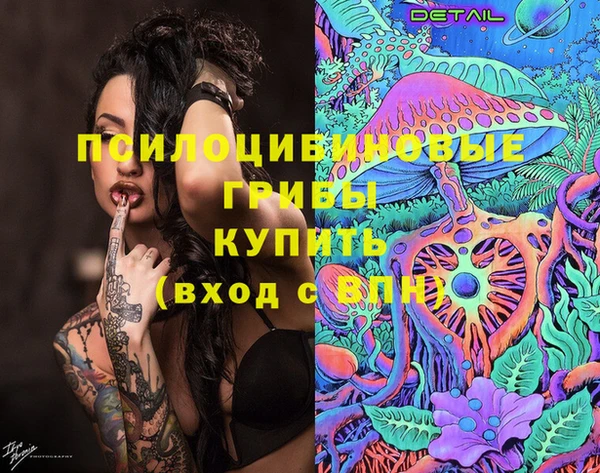 твердый Алзамай